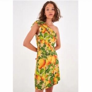 Farm Rio‎ Fruit Orchard One-Shoulder Ruffle Mini Dress Size Small